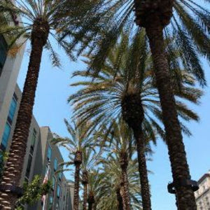 Meet your Posher, Nicholle